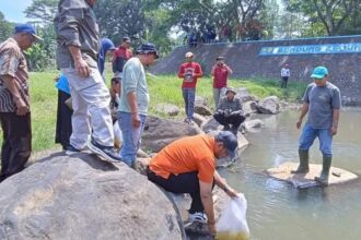 Dinas Kelautan, Perikanan, dan Peternakan Kabupaten Batang menebar benih ikan nila di sungai Kramat.